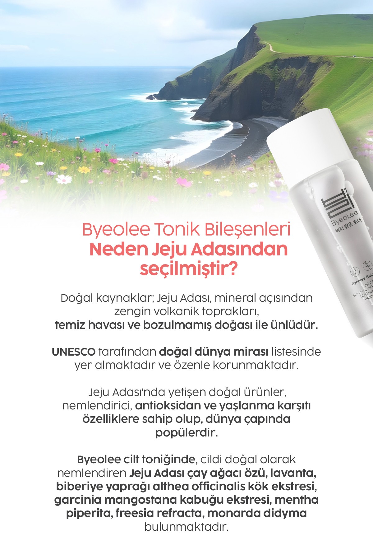 Balgeum Jeju Gözenek Sıkılaştırıcı Yağ Dengeleyici Arındırıcı Yeni Nesil Kore Tonik 150ml