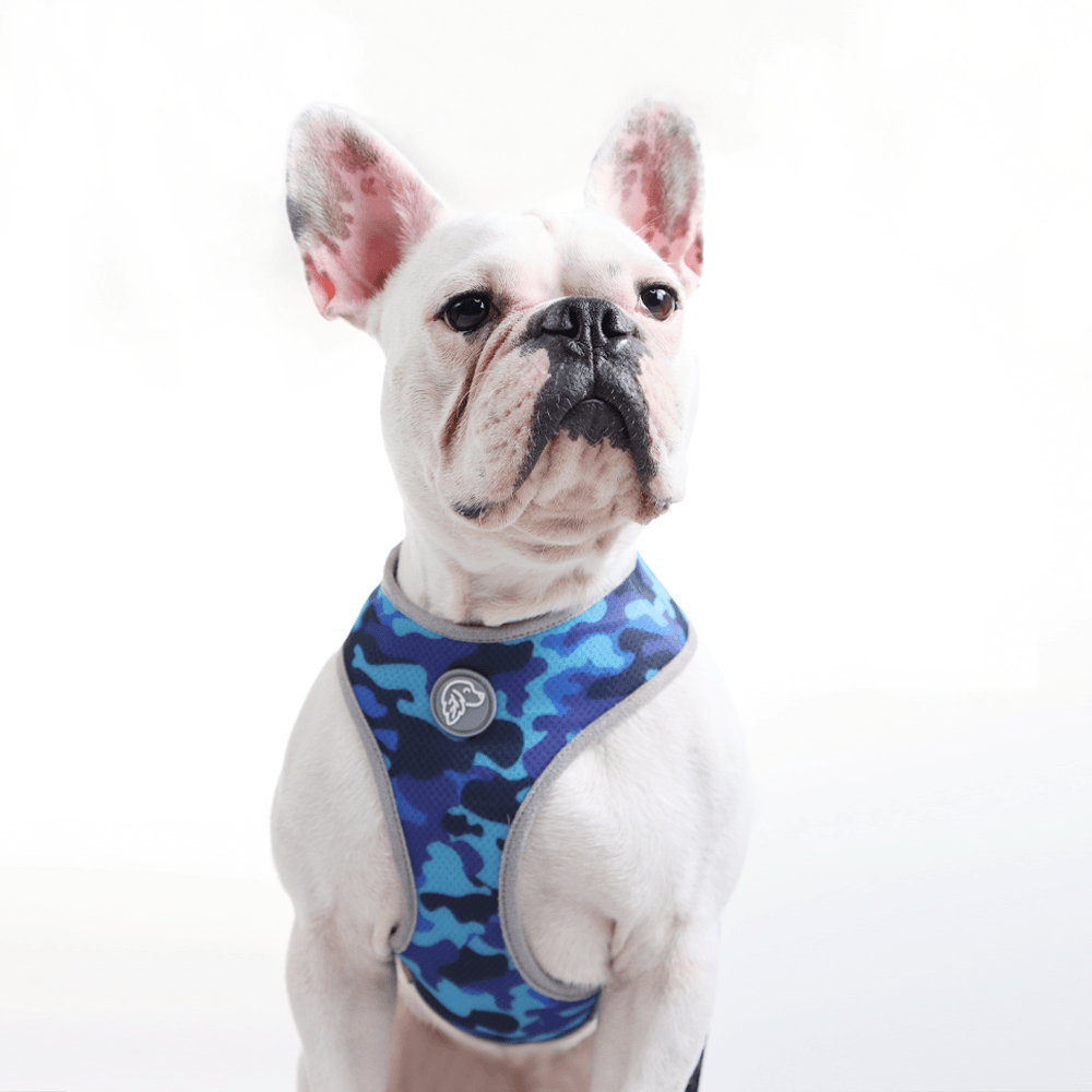 Camo Air Mesh Harness