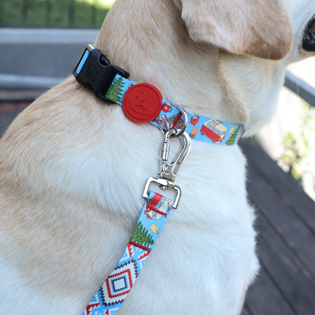 Happy Camper Dog Collar