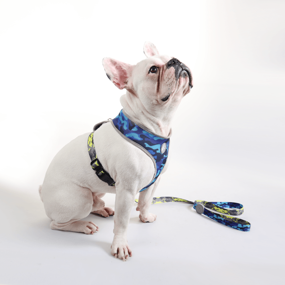 Camo Air Mesh Harness