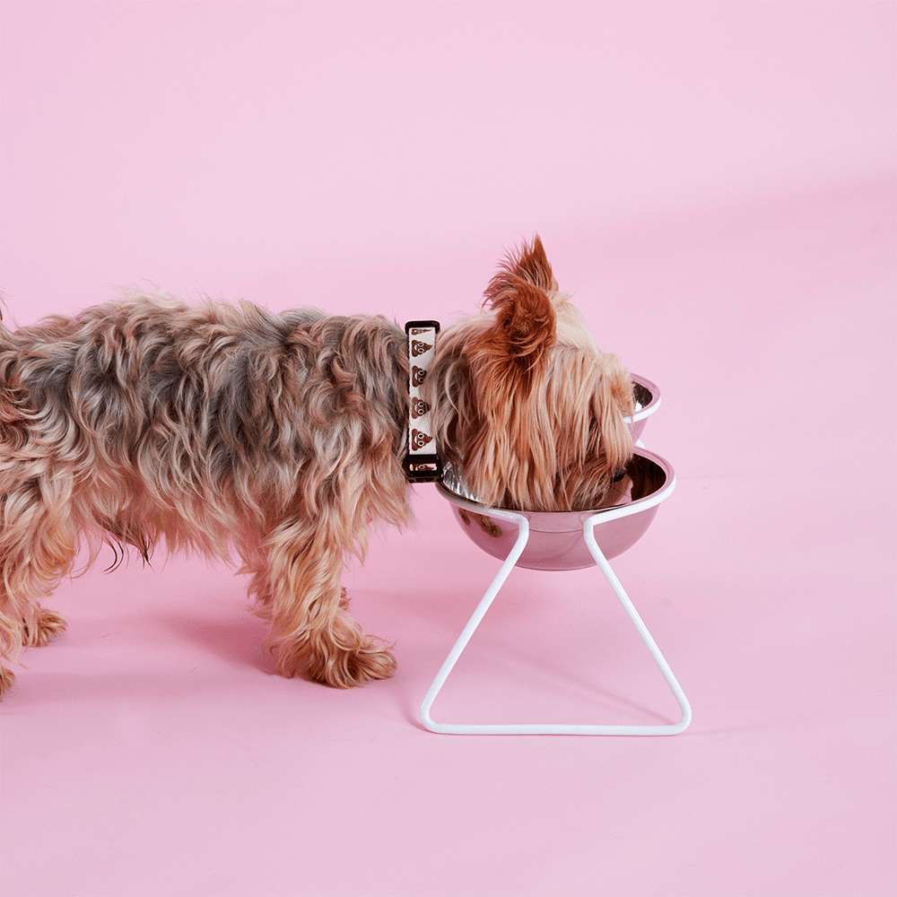 Air Paslanmaz Çelik Köpek Mama ve Su Kabı