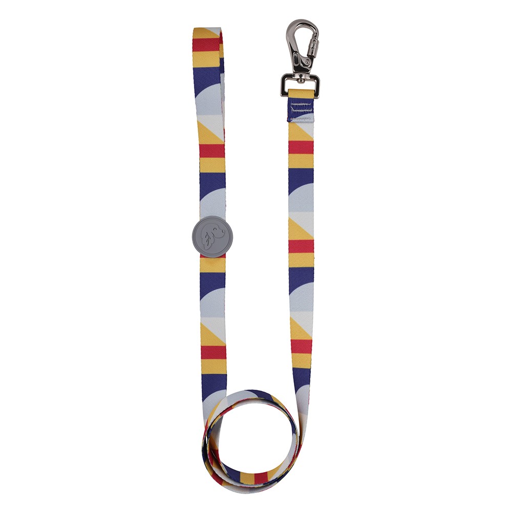 Geometric Dog Leash