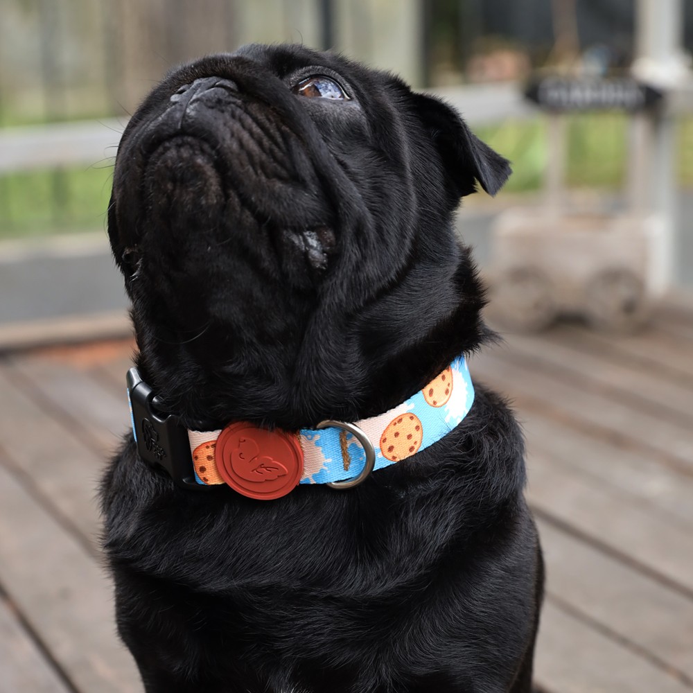 Cookie Cow Dog Collar