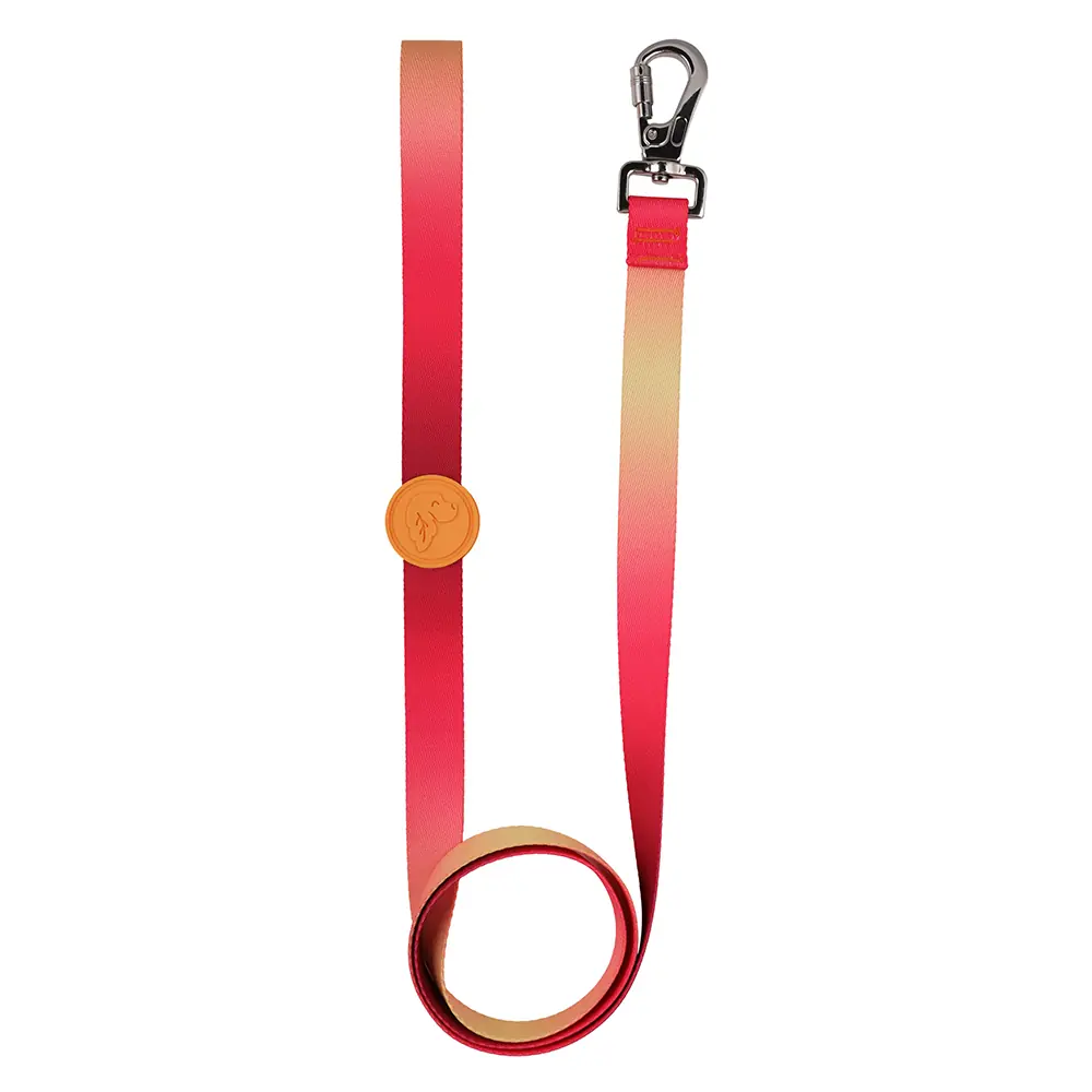 Flame Köpek Gezdirme Kayışı