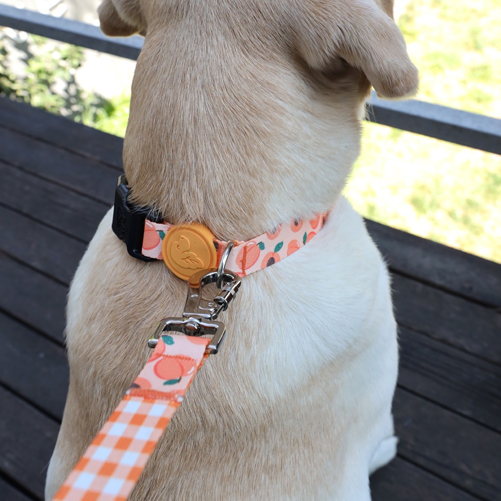 Peachy Dog Collar