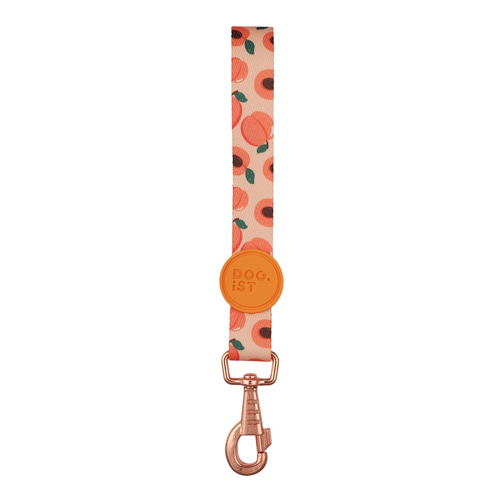 Peachy Dog Safety Belt