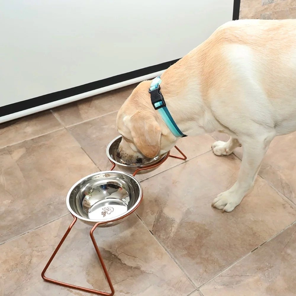 Copper Stainless Steel Pet Bowl Kit