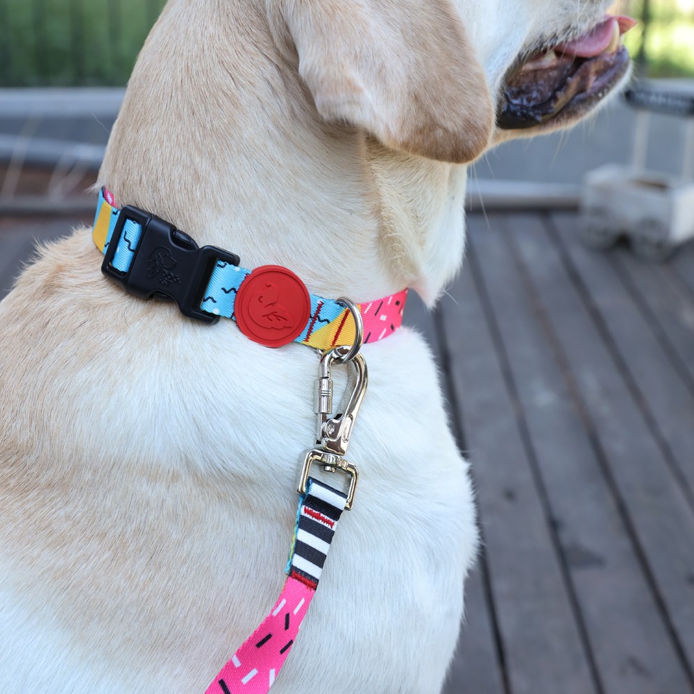 Sweet Shapes Dog Collar