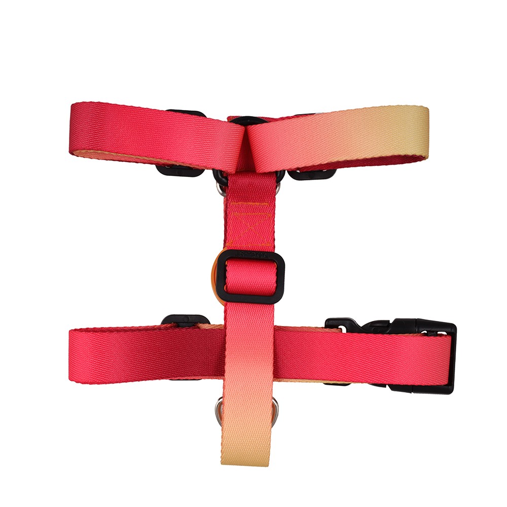 Flame H Harness