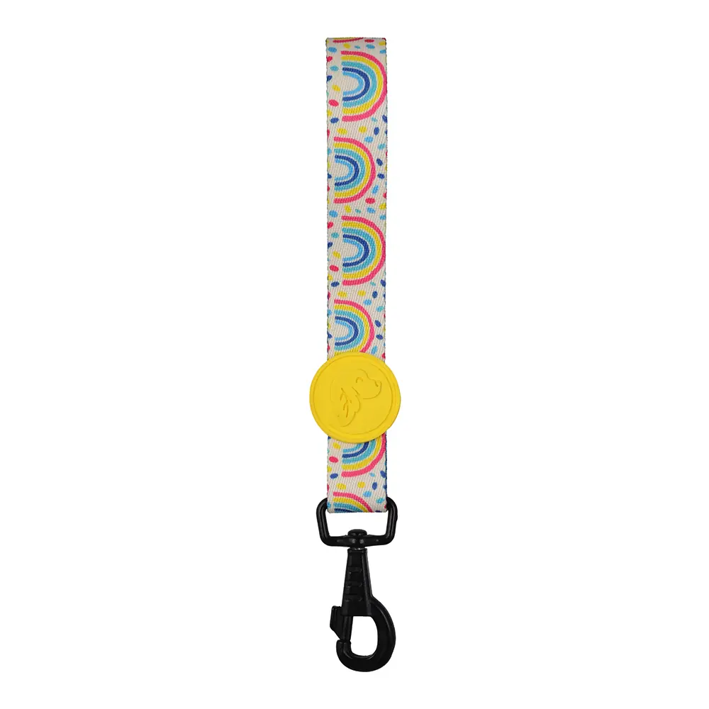 Rainbow Dash Köpek Emniyet Kemeri