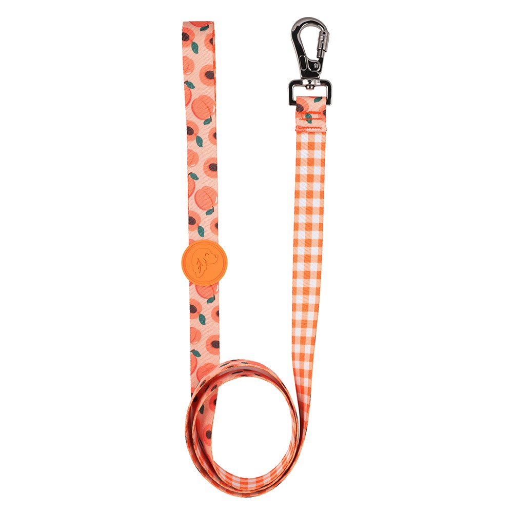 Peachy Dog Leash