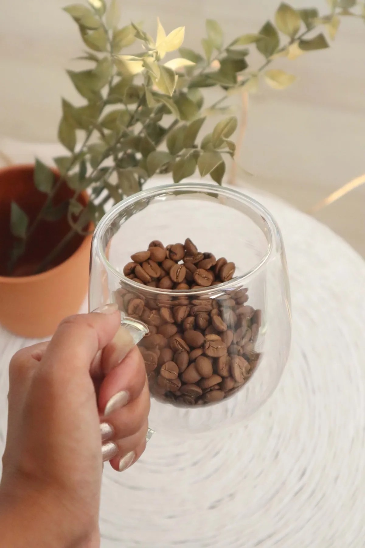 Çift Cidarlı Kulplu Bardak 320Ml
