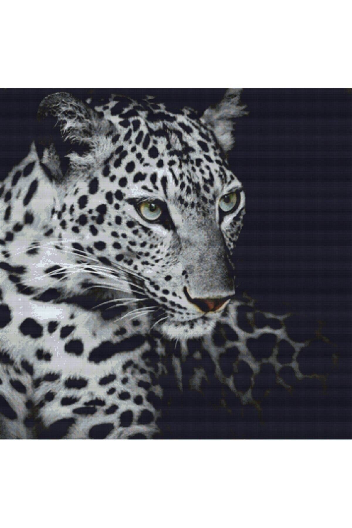 Movas Sanat Portrait of a Wild Leopard | Diamond Mosaic Painting | Mosaic Puzzle | 50x50 | E2020644