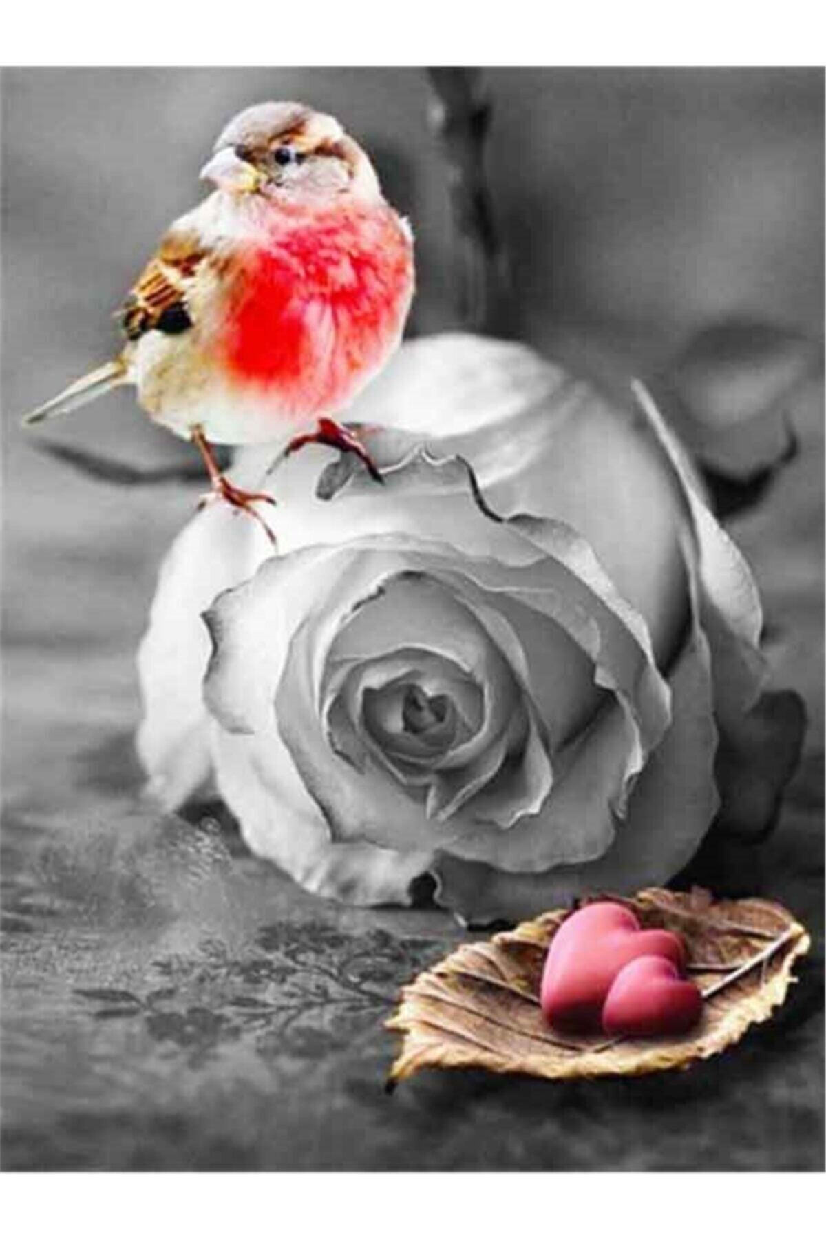 Movas Sanat Beyaz Gül Üzerindeki Serçe | Elmas Mozaik Tablo | Mozaik Puzzle | 40x60 | E20202010M