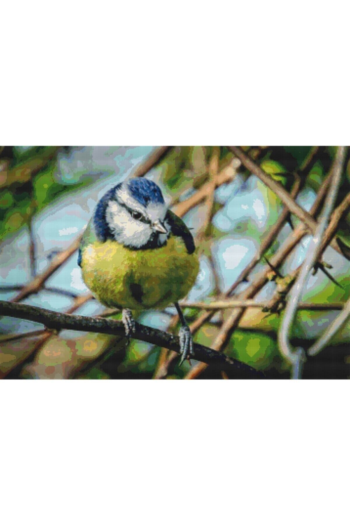 Movas Sanat Blue Tit Bird - England | Diamond Mosaic Painting | Mosaic Puzzle | 50x33 | E2020568