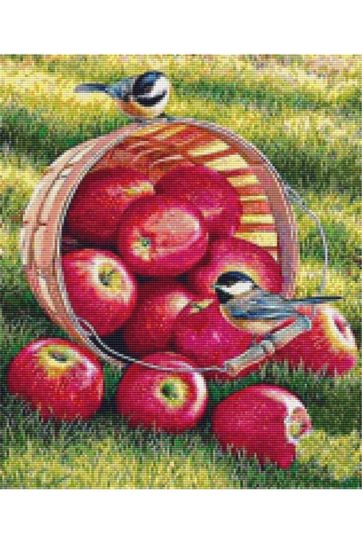 Movas Sanat Kuşlar Ve Taze Elma Sepeti | Elmas Mozaik Tablo | Mozaik Puzzle | 40x45 | E20201470M
