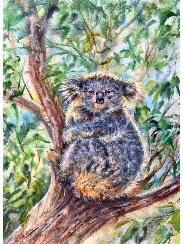 Movas Sanat Okalüptus Ağacında Yavru Bir Koala | Elmas Mozaik Puzzle | 40x55 | E20201082M