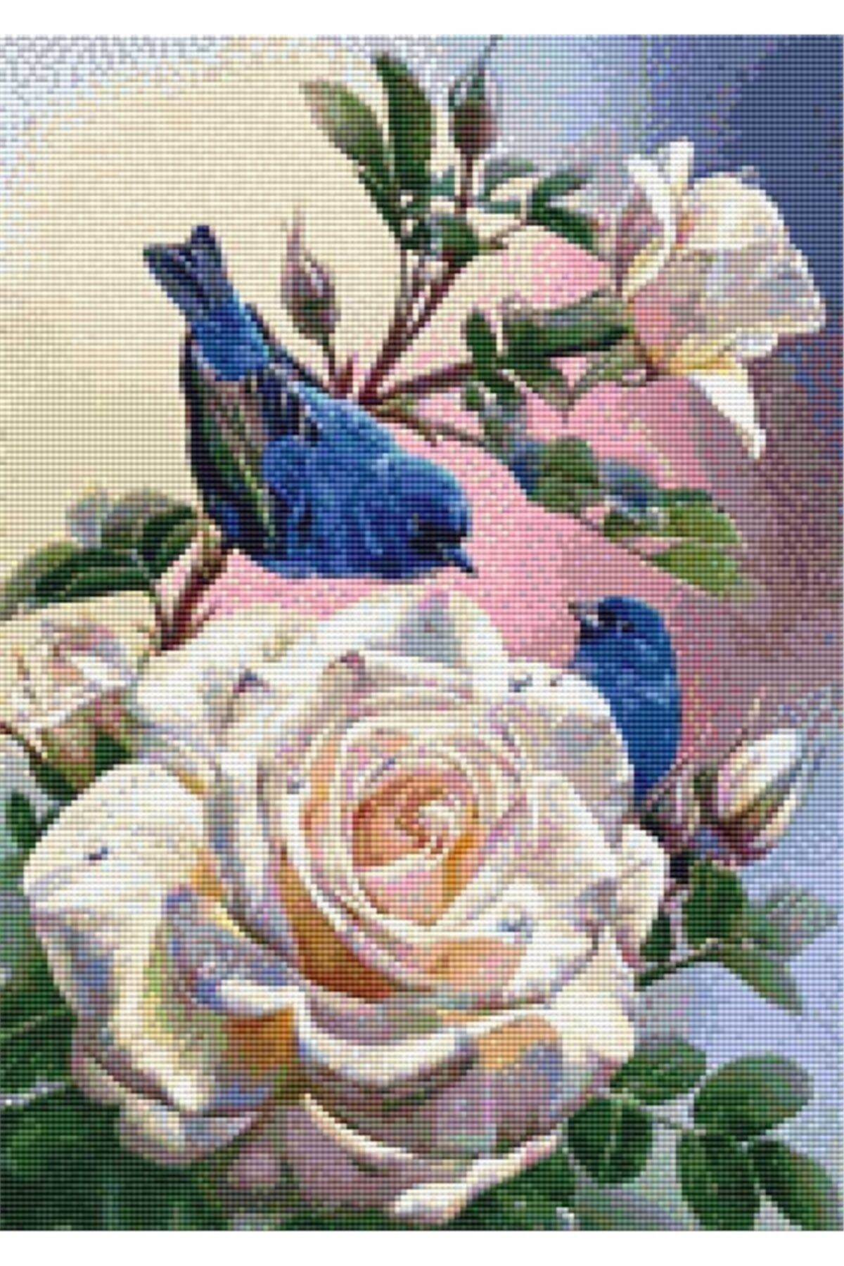 Movas Sanat Beyaz Güller Ve Kuşlar | Elmas Mozaik Tablo | Mozaik Puzzle | 35x50 | E20201274M