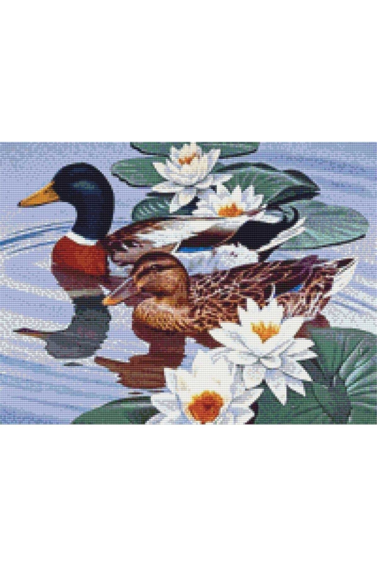 Movas Sanat Water Lilies And Ducks | Diamond Mosaic Painting | Mosaic Puzzle | 50x40 | E20201557M