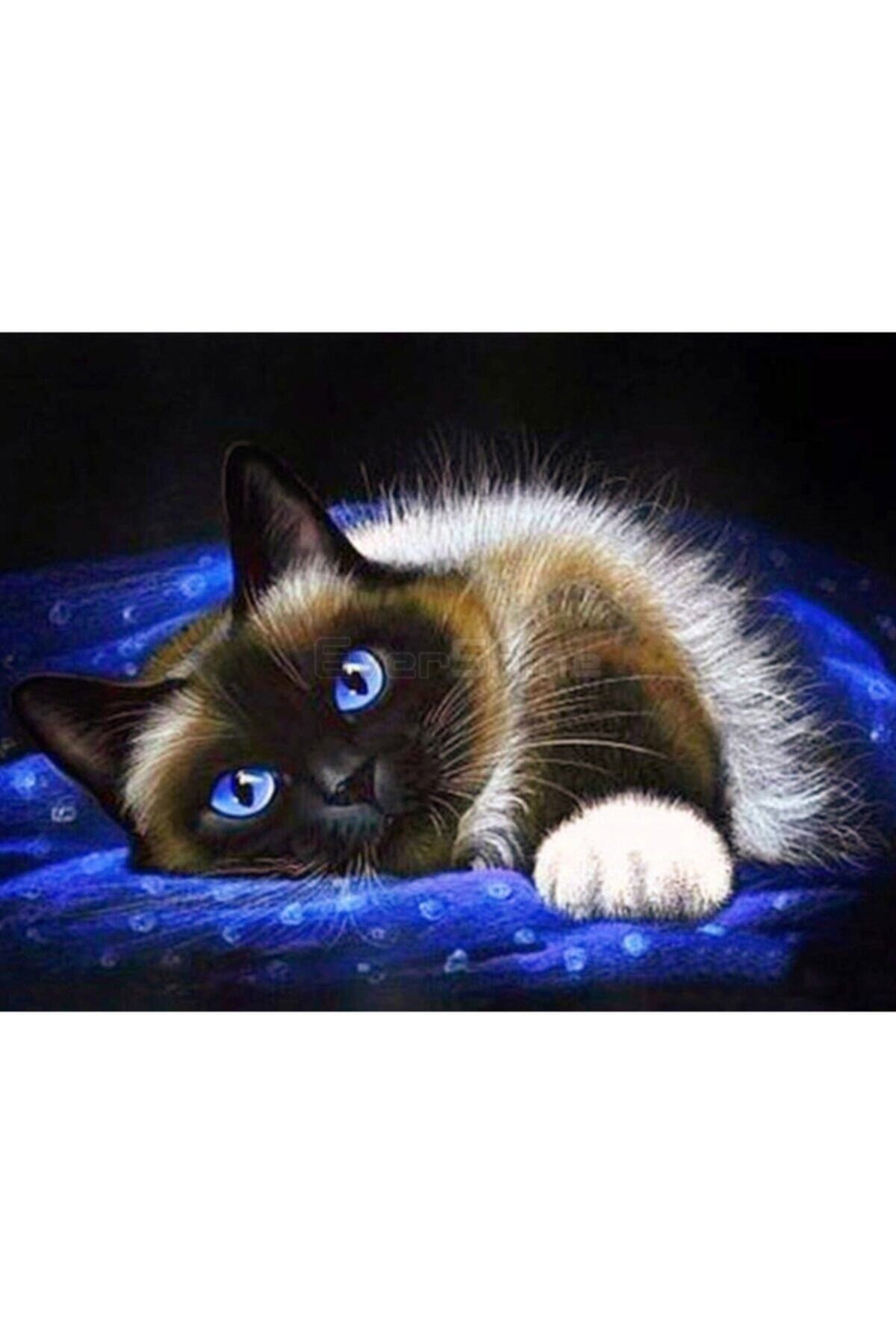 Movas Sanat Sleepy Cat With Colorful Eyes | Diamond Mosaic Painting | Mosaic Puzzle | 50x35 |E20202940M