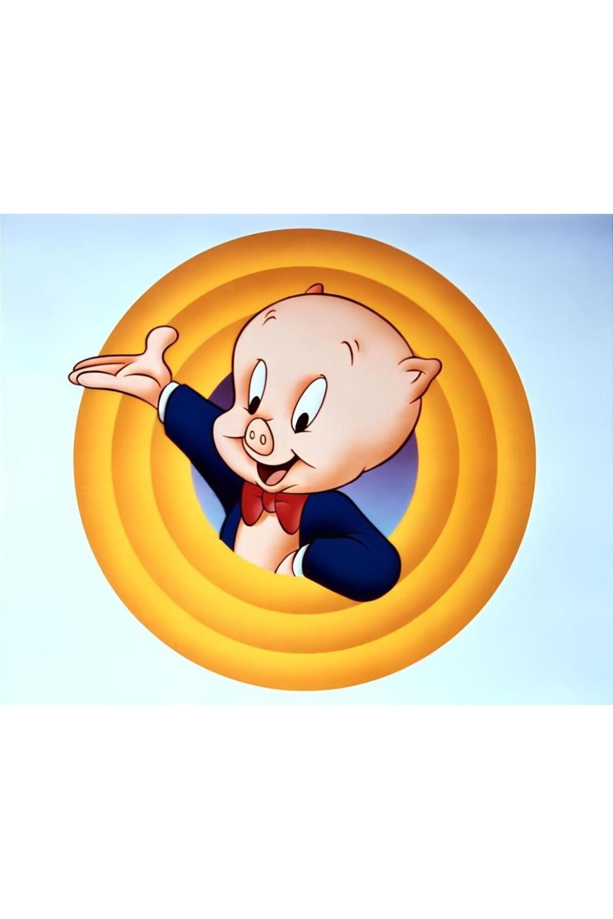 Movas Sanat Domuz Porky - Warnerbros | Elmas Mozaik Tablo | Mozaik Puzzle | 45x35 | E20204046