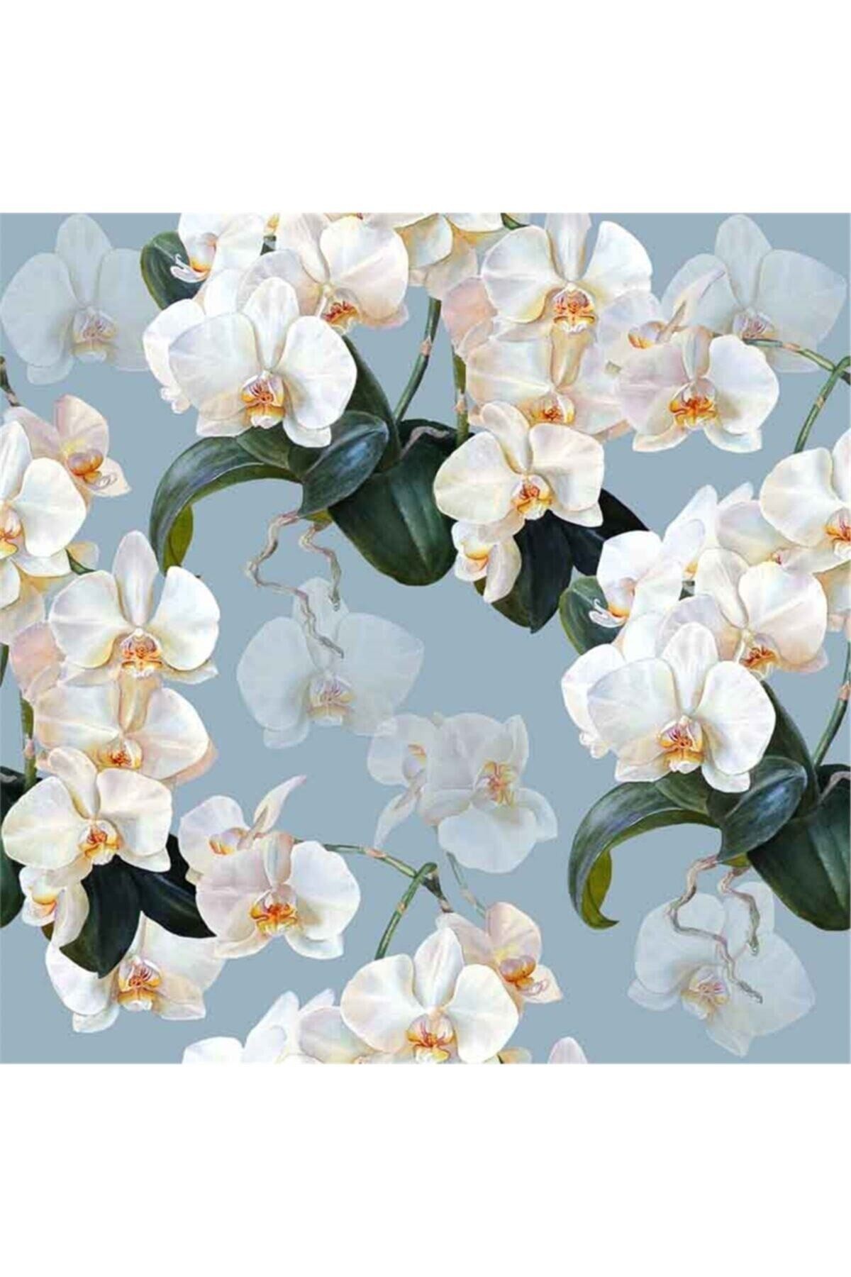 Movas Sanat Beyaz Orkideler | Elmas Mozaik Tablo | Mozaik Puzzle | 50x50 | E20202012M