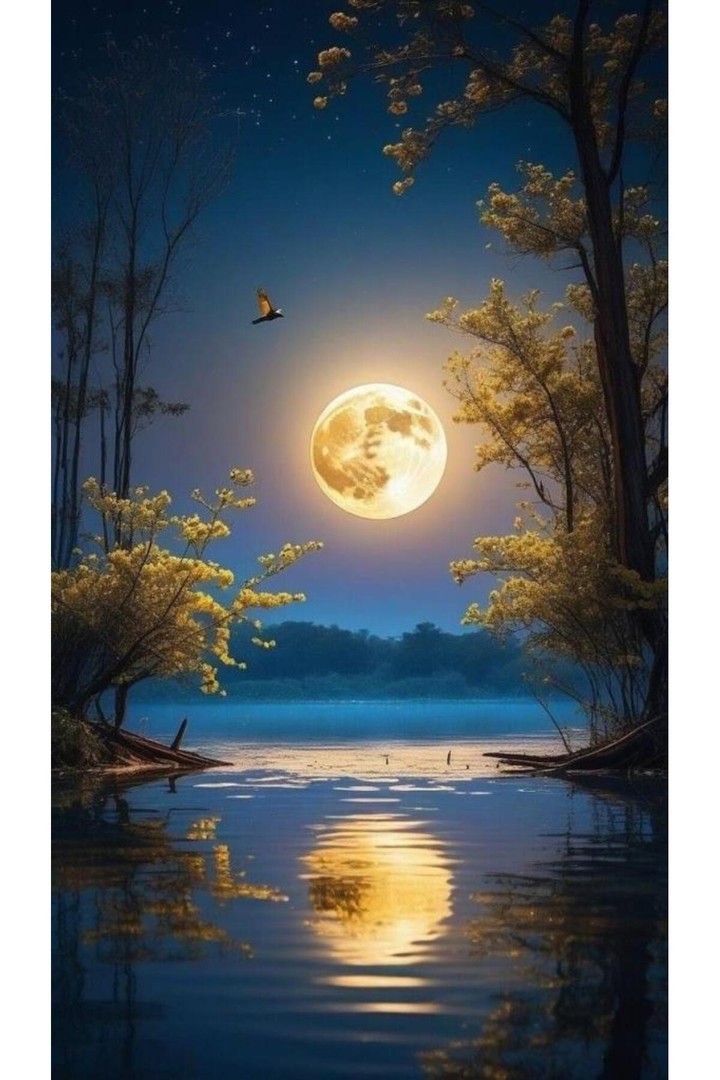 Movas Sanat Dolunay Gecesi | Elmas Mozaik Tablo | Mozaik Puzzle | 40x70 | E20204526