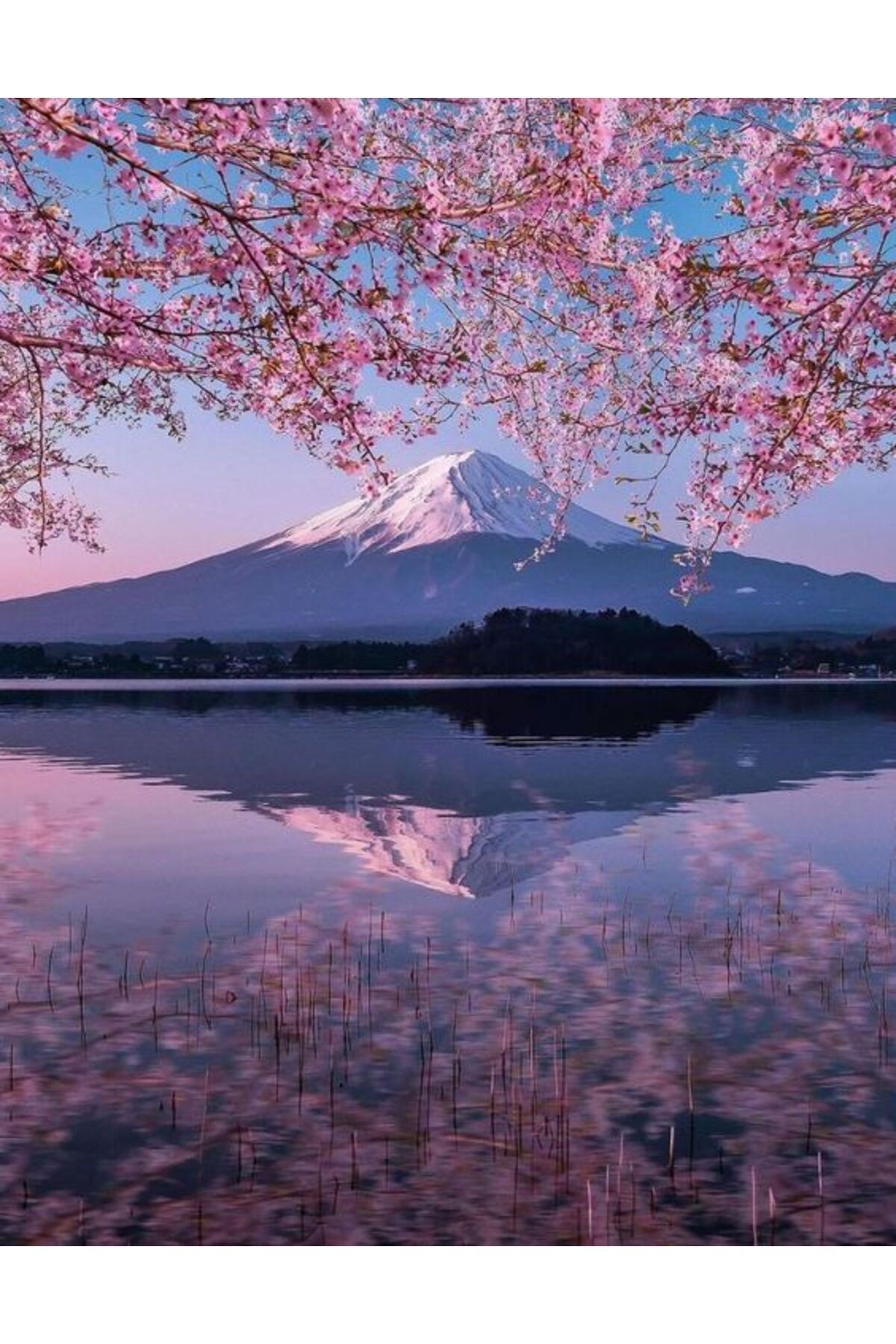 Movas Sanat Mount Fuji And Sakura Trees | Diamond Mosaic Painting | Mosaic Puzzle | 50x65 | E20204187