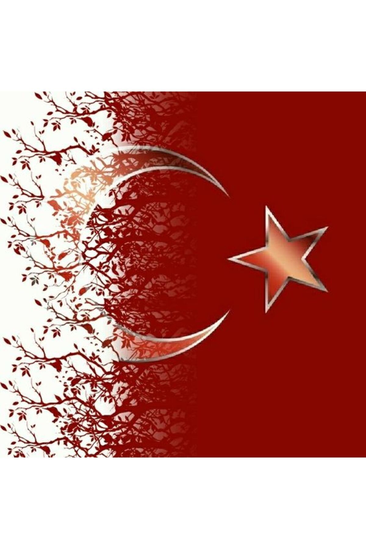 Movas Sanat Glorious Turkish Flag | Ataturk Diamond Mosaic Painting | Mosaic Puzzle | 60x60 | E20204001