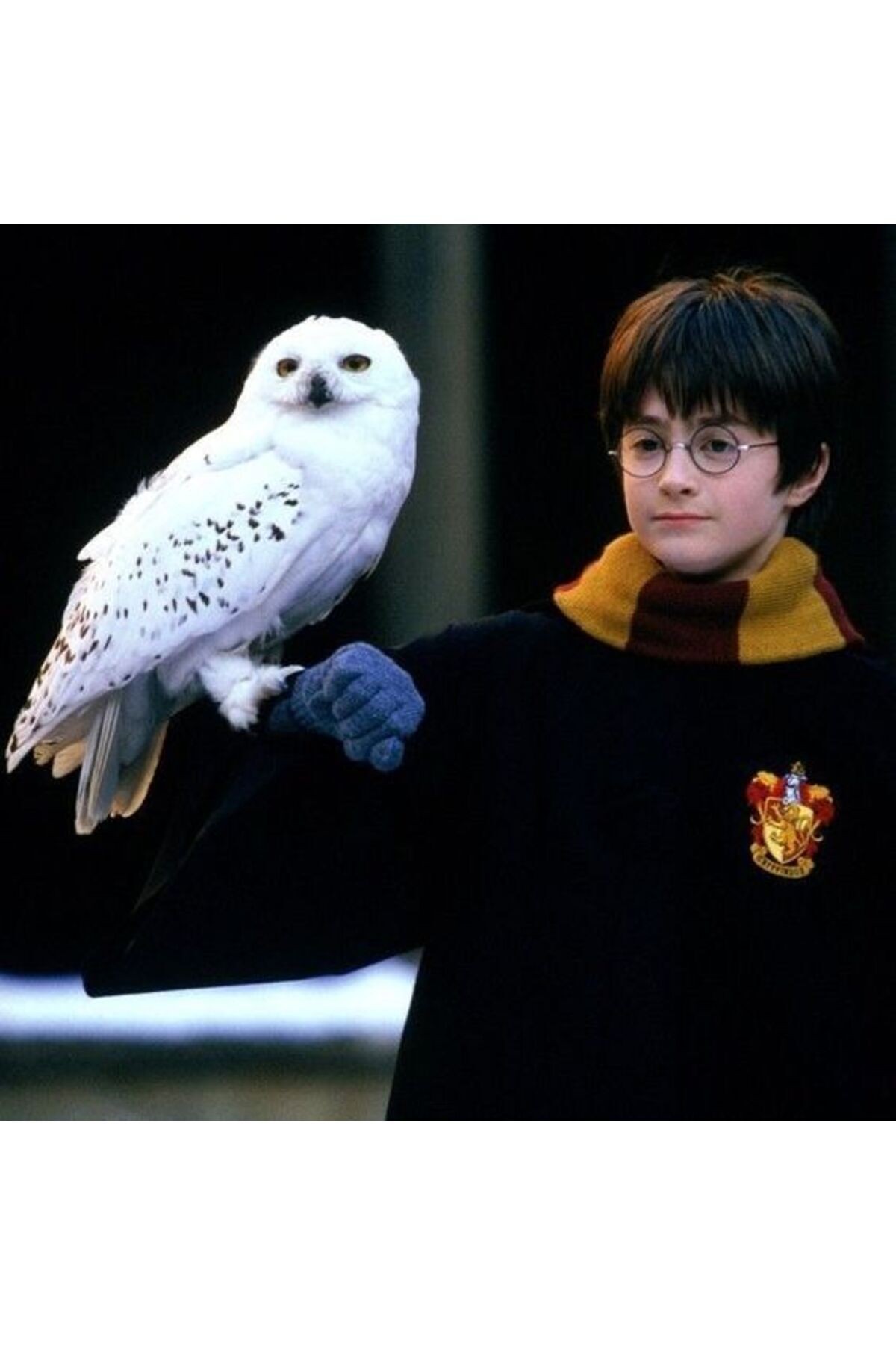 Movas Sanat Hedwig And Harry | Harry Potter Diamond Mosaic Painting | Mosaic Puzzle | 50x50 | E20204148