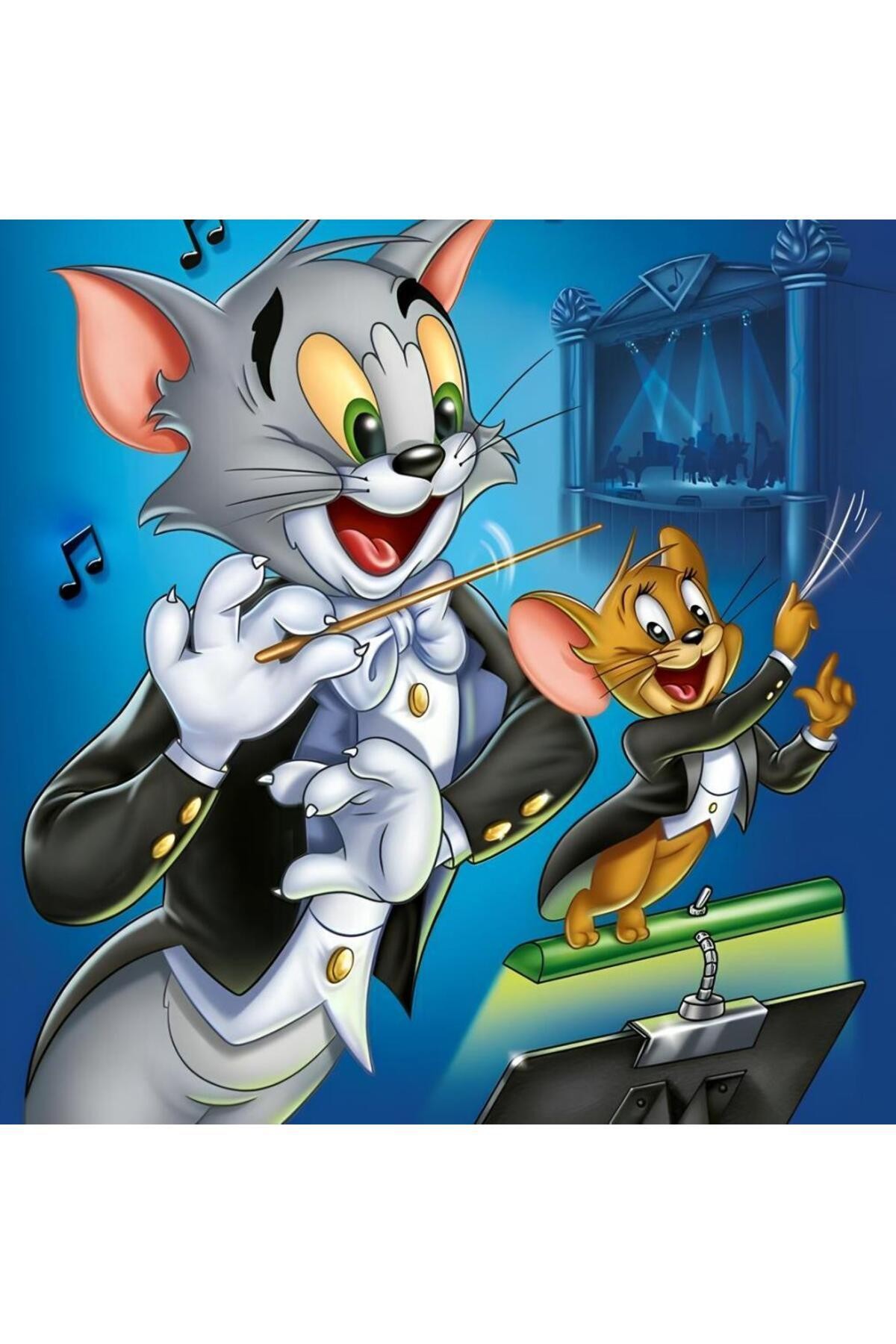 Movas Sanat Müzik Gösterisi - Tom Ve Jerry | Elmas Mozaik Tablo | Mozaik Puzzle | 45x45 | E20204124