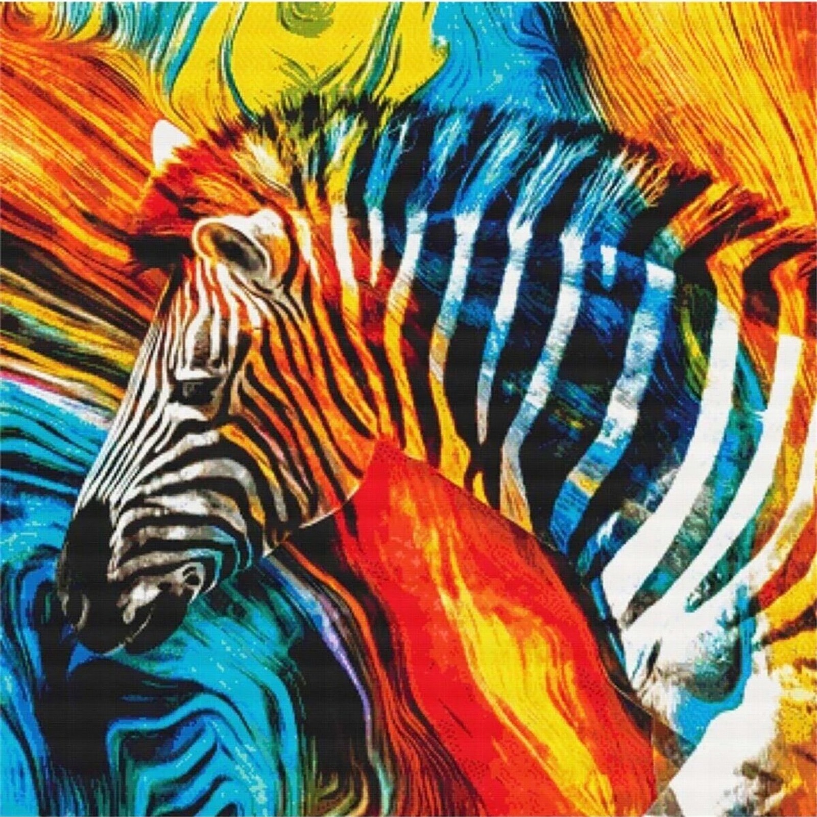 Gökkuşağı Zebra 50x50cm Dialands Elmas Mozaik Tablo