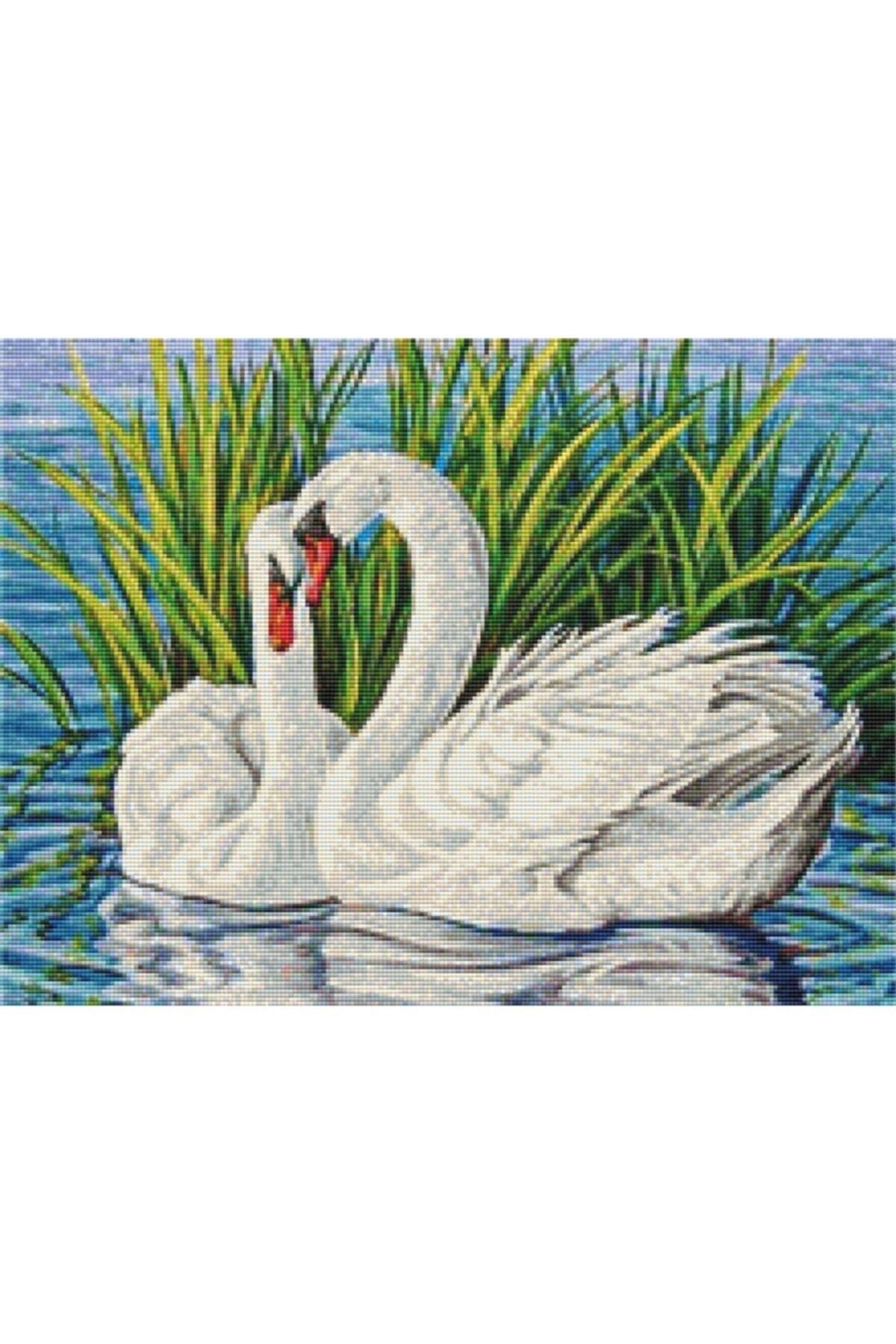 Movas Sanat Aşk Yaşayan Bir Çift Kuğu | Elmas Mozaik Puzzle | 55x40 | E20201351M