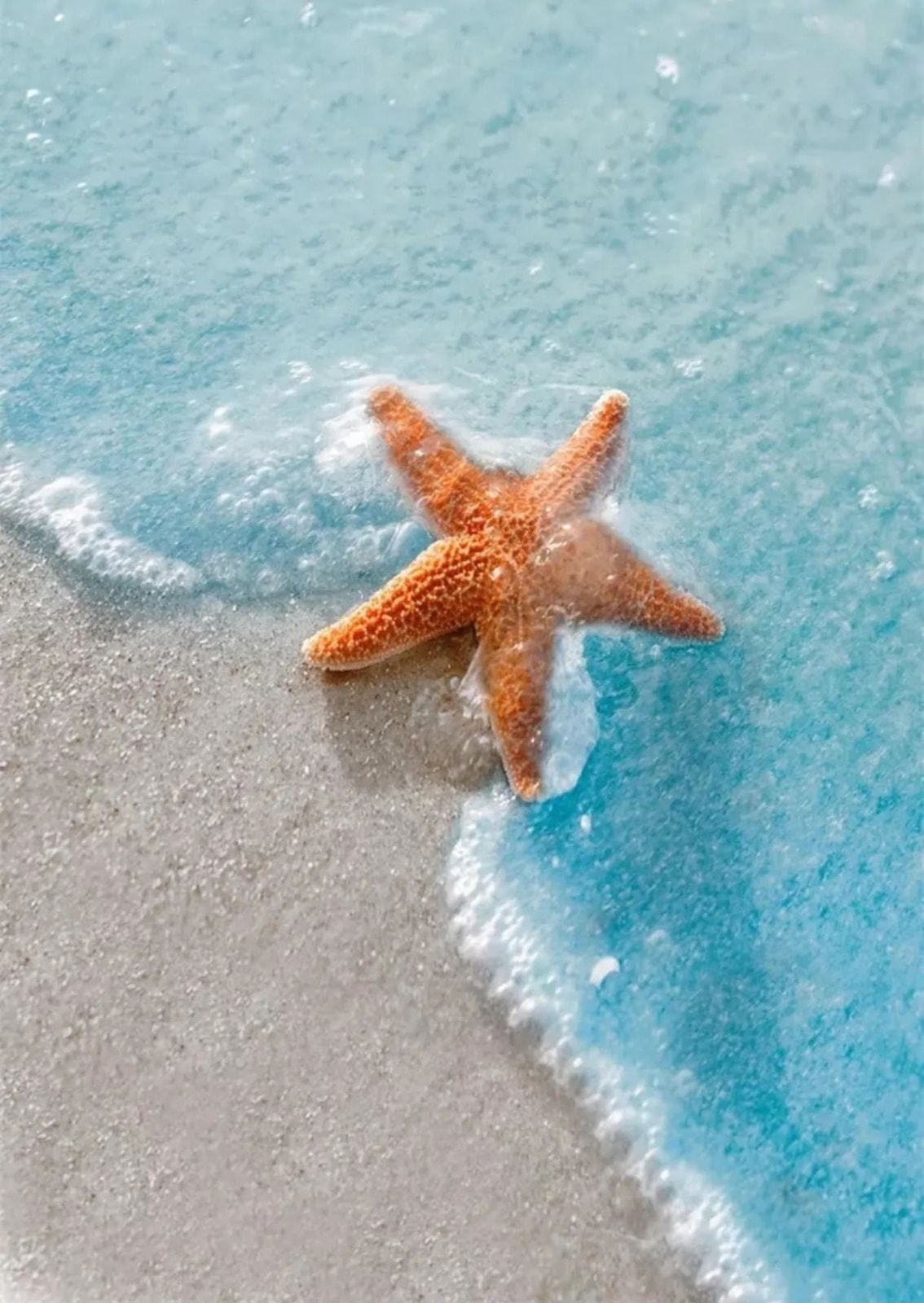 Deniz Yıldızı 45x65cm Dialands Elmas Mozaik Tablo