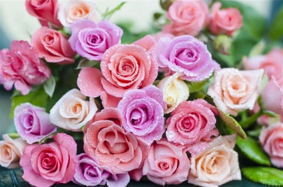 Renkli Güller 50x33cm Dialands Elmas Mozaik Tablo