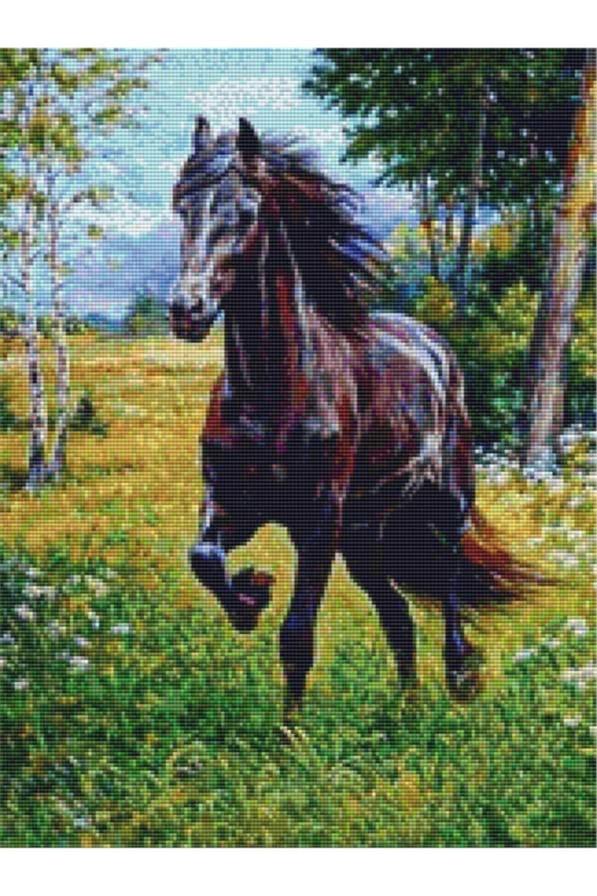 Movas Sanat Ormanda Kahverengi Bir At | Elmas Mozaik Tablo | Mozaik Puzzle | 40x55 | E20201431M