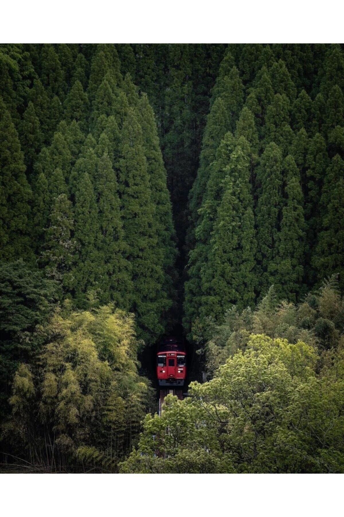 Movas Sanat Train In the Japanese Forest | Diamond Mosaic Painting | Mosaic Puzzle | 45x55 | E20203266