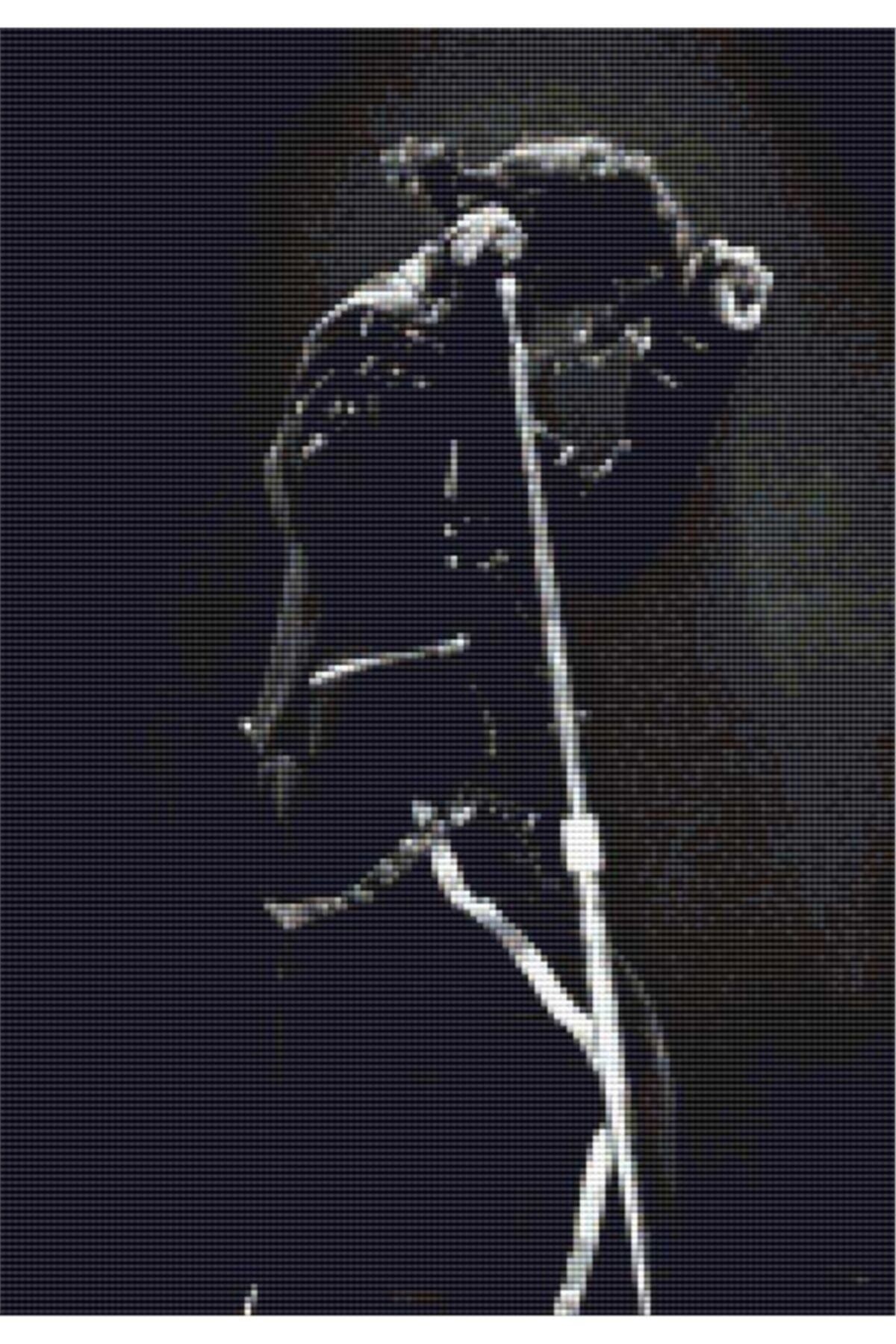 Movas Sanat Michael Jackson | Elmas Mozaik Tablo | Mozaik Puzzle | 35x50 | E20201631M