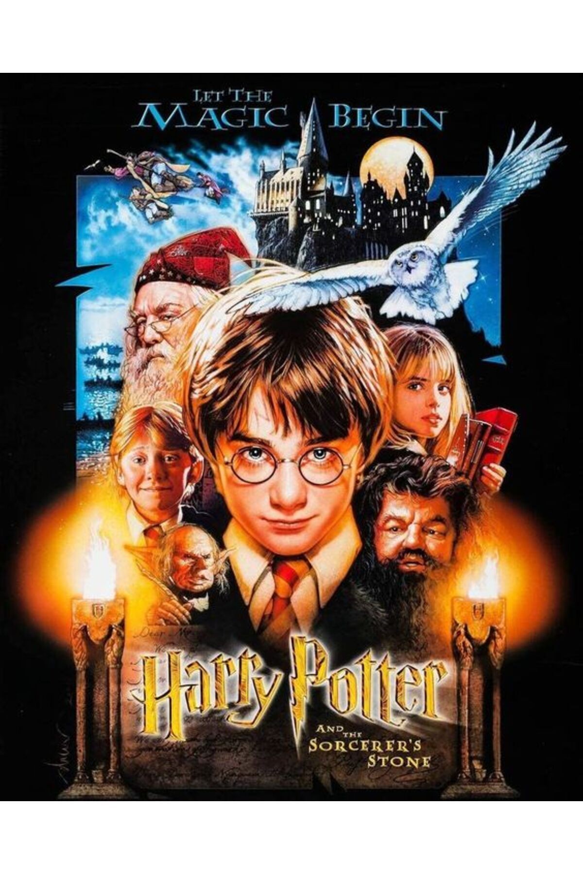 Movas Sanat Felsefe Taşı | Harry Potter Elmas Mozaik Tablo | Mozaik Puzzle | 60x75 | E20204147