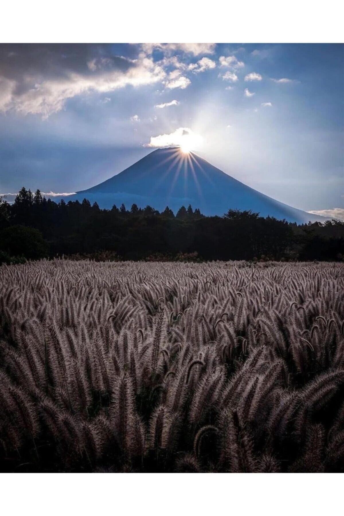 Sun Rising Behind the Mountain | Diamond Mosaic Table | Mosaic Puzzle | 45x55 | E20203265