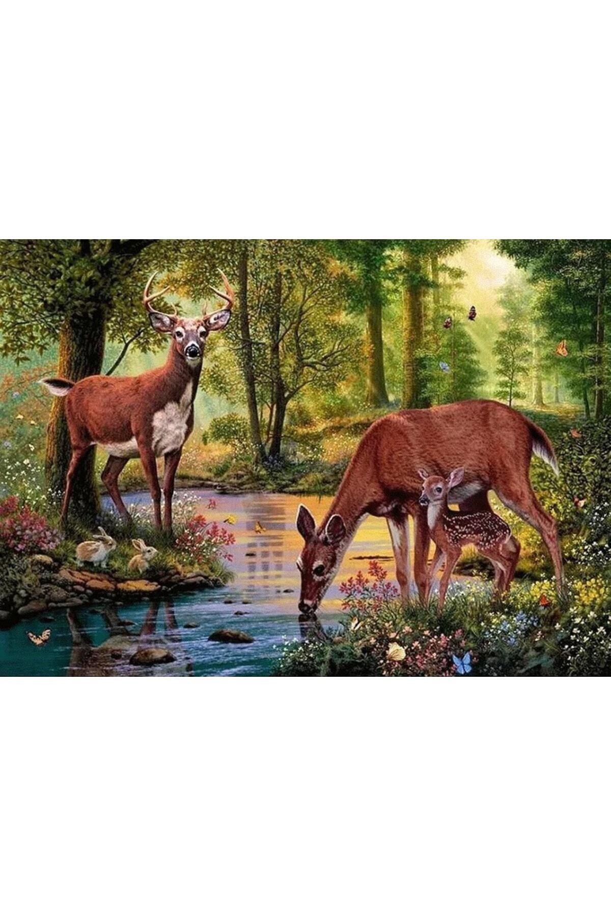 Movas Sanat Deer Drinking Water in the Lake | Diamond Mosaic Painting | Mosaic Puzzle | 50x35 | E20203676