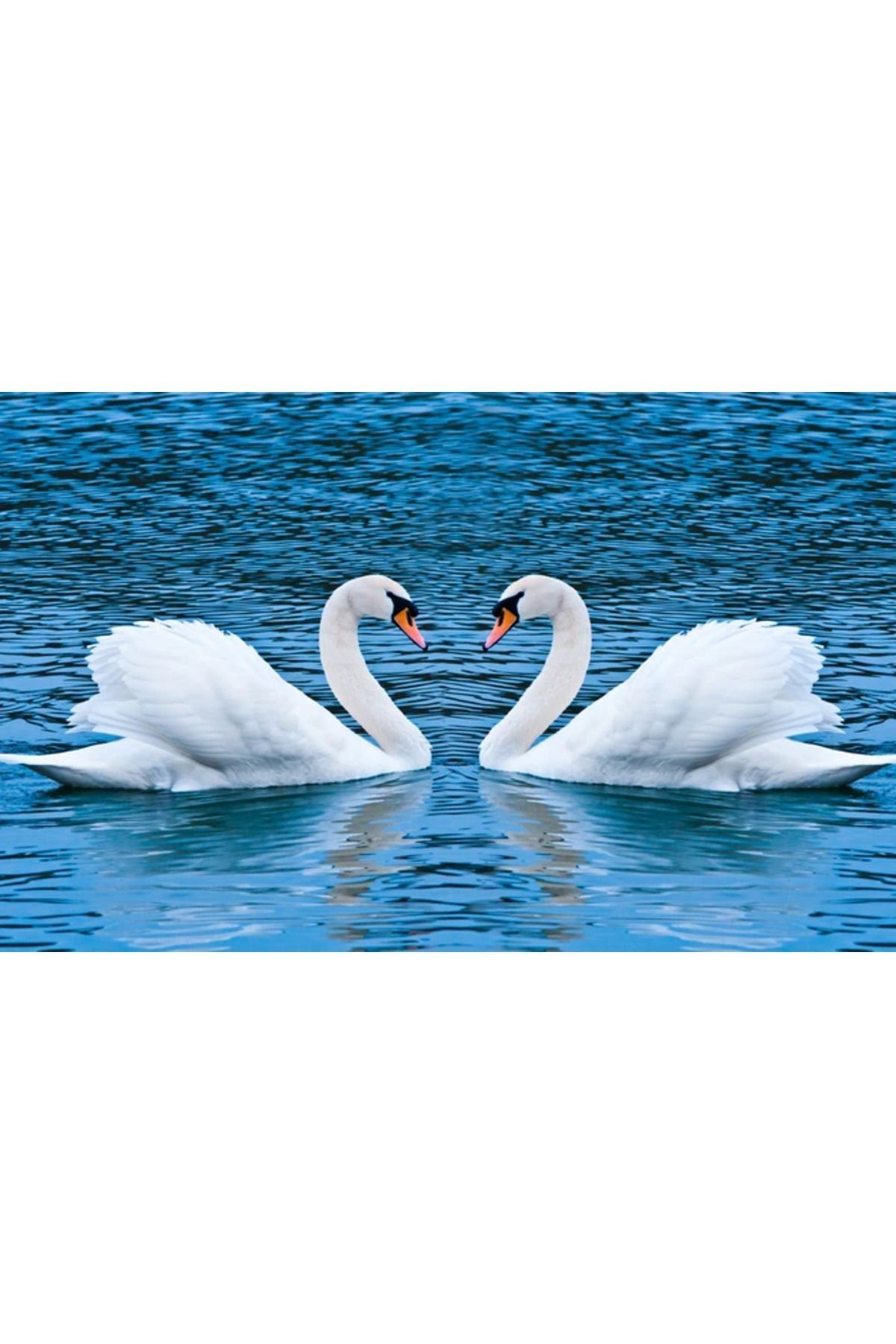 Movas Sanat Kalp Şekli Oluşturan Kuğular | Elmas Mozaik Tablo | Mozaik Puzzle | 80x50 | E20234293