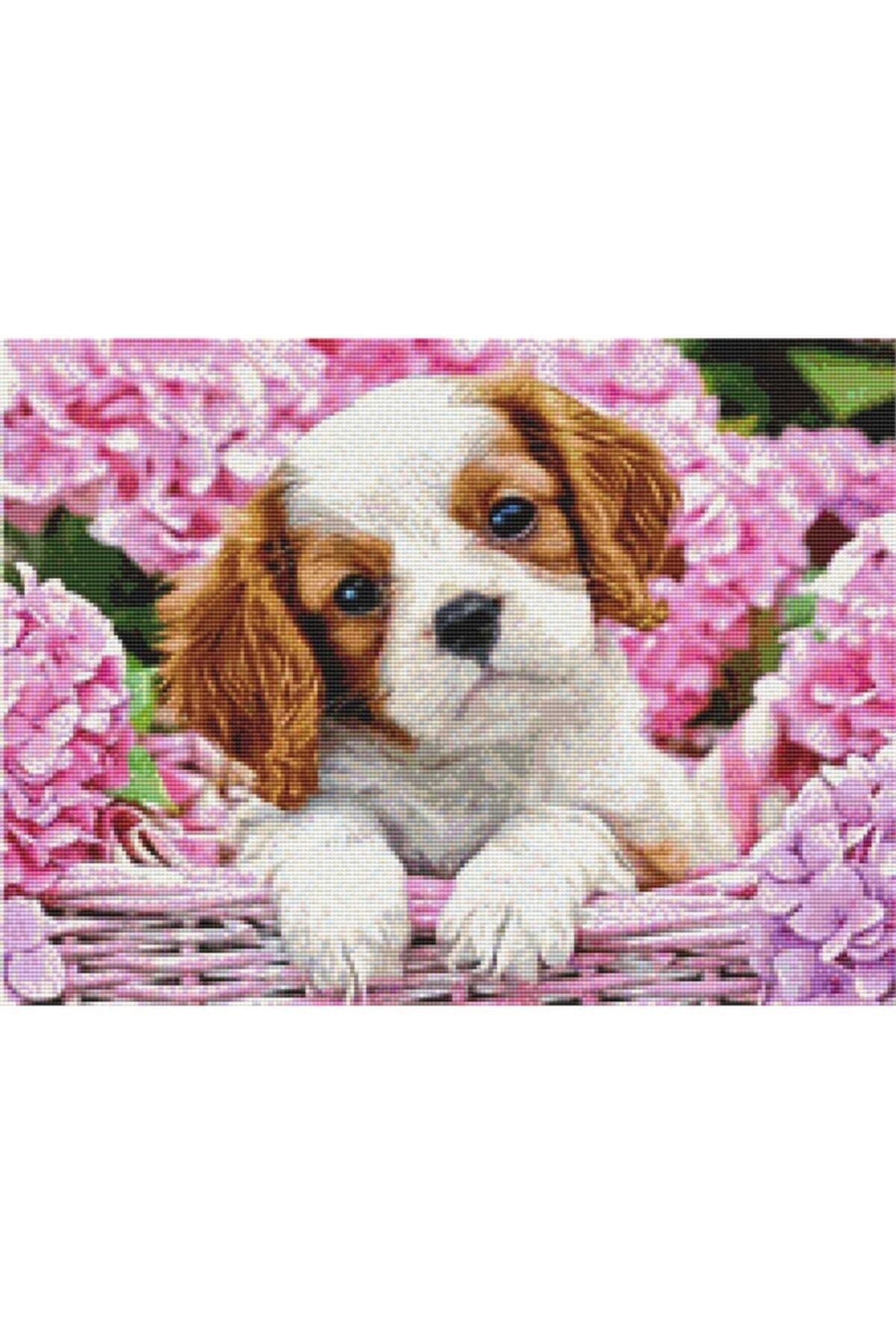 Movas Sanat A Sweet Dog And Summer Flowers | Diamond Mosaic Puzzle | 55x40|E20201328M