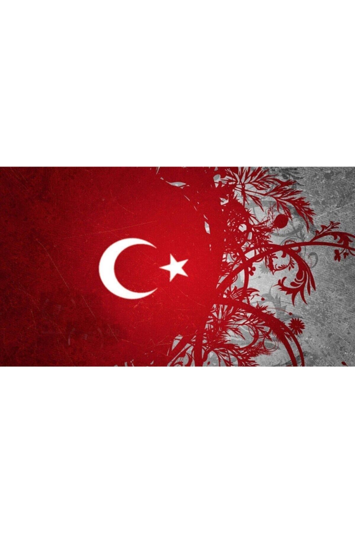 Movas Sanat Glorious Turkish Flag | Diamond Mosaic Painting | Mosaic Puzzle | 50x25 |E20203053M