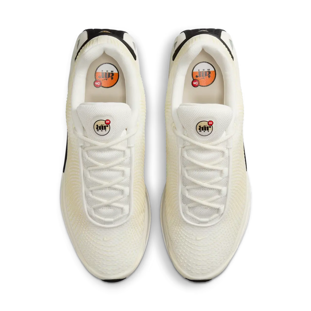 Dn Sail & Coconut Milk