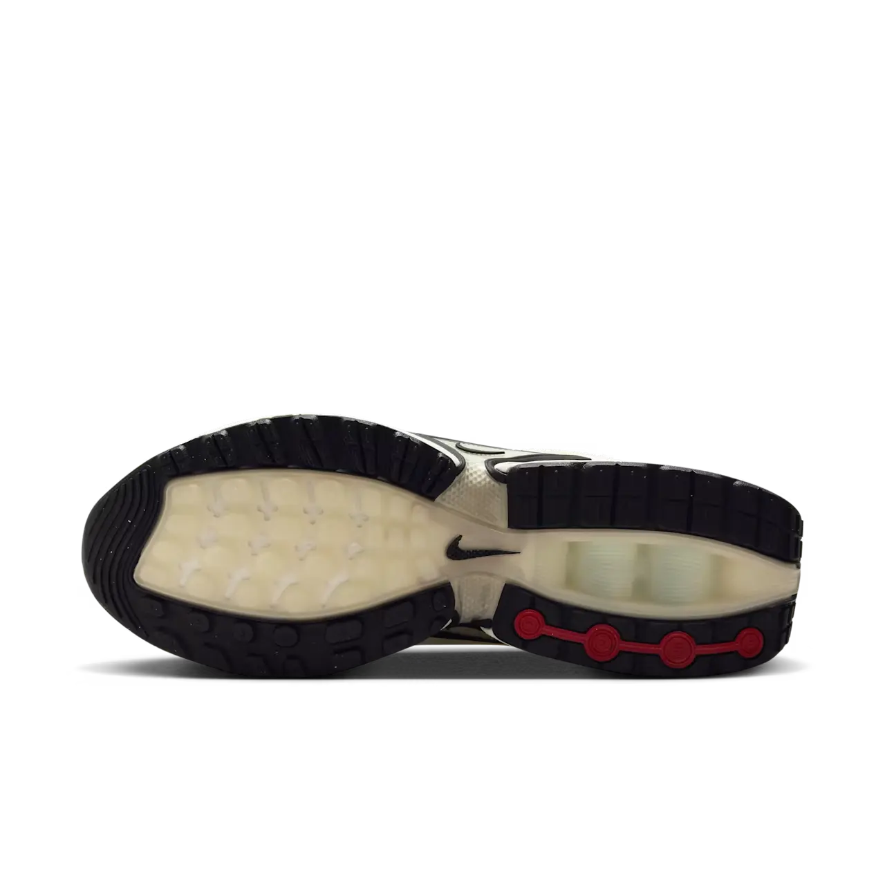 Dn Sail & Coconut Milk