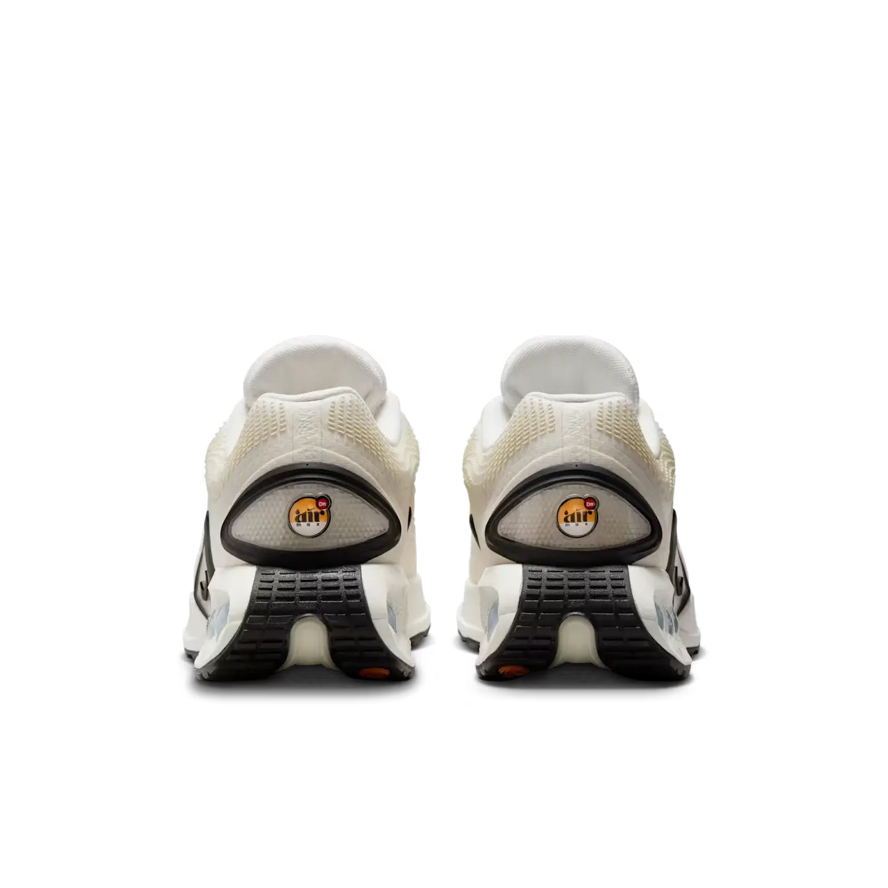 Dn Sail & Coconut Milk