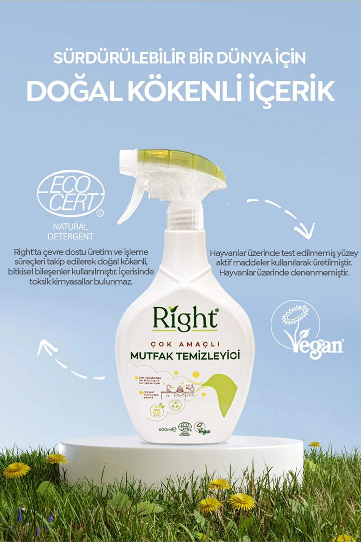 RİGHT ÇOK AMAKÇLI MUTFAK TEMİZLEYİCİ 600 ML