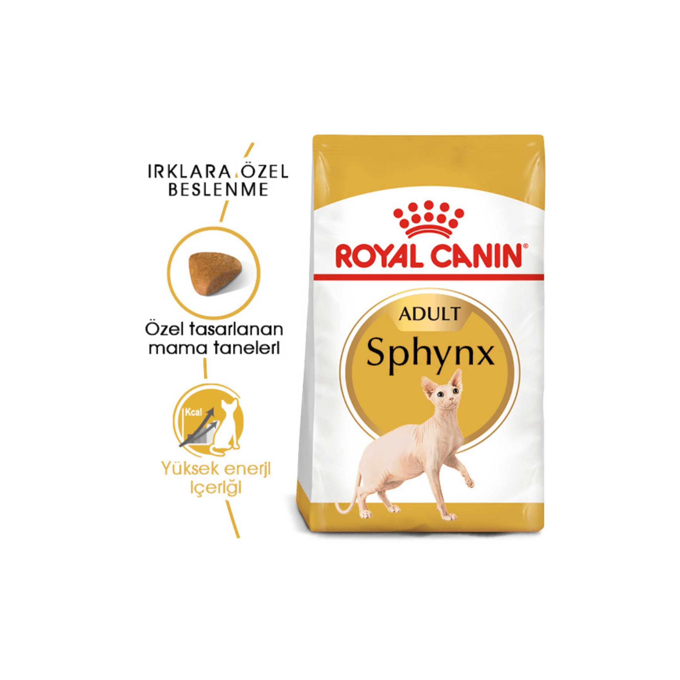 Royal Canin Sphynx Özel Irk Yetişkin Kedi Maması 2 kg
