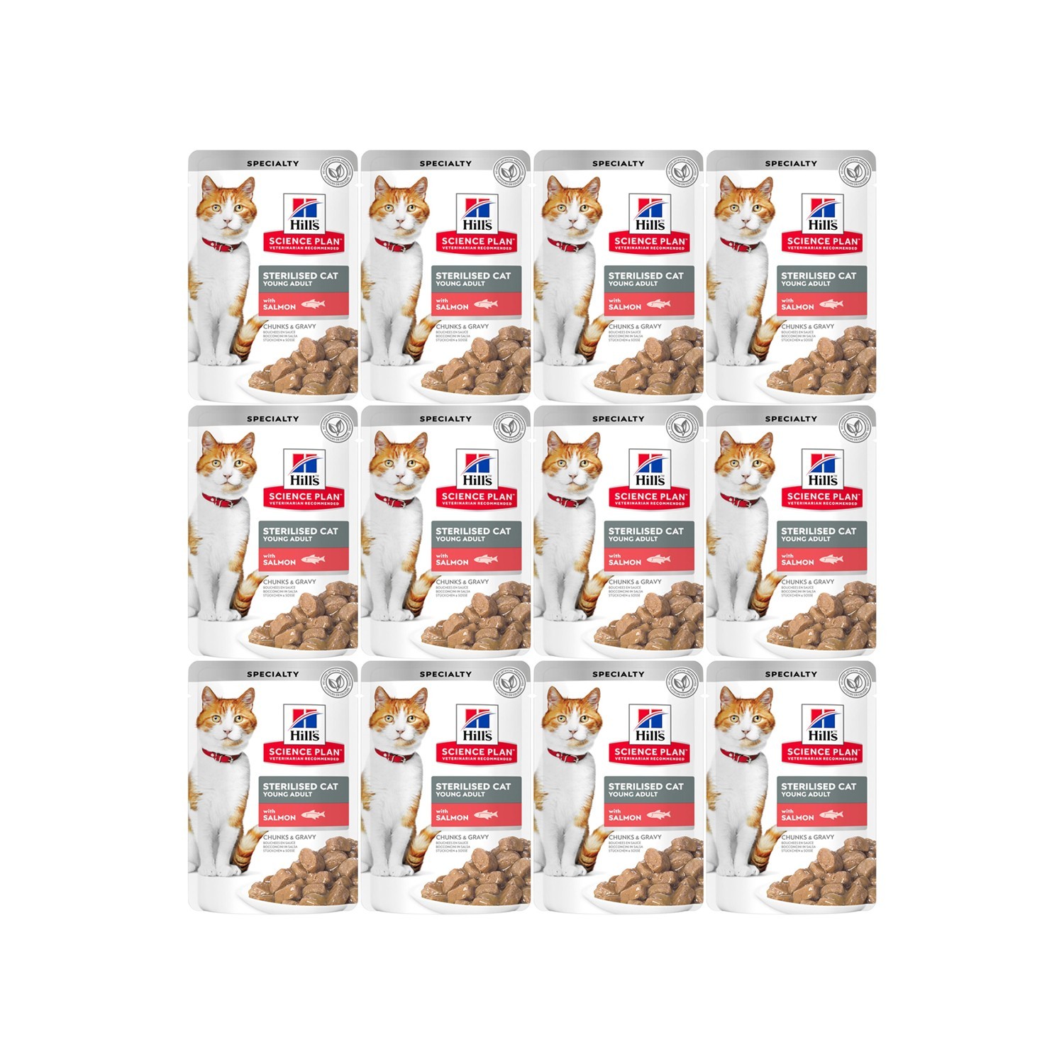 Hills Kısırlaştırılmış Kedi Konservesi Somon Balıklı 12x85 gr